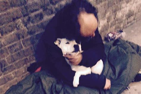 A Community United: How the Homeless Pup Stole the Hearts of Many