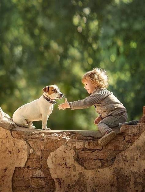 A Companionship That Warms the Hearts: The Special Connection Between a Child and Their Canine Companion