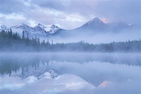 A Dance of Shadows: Exploring the Beauty of Misty Landscapes