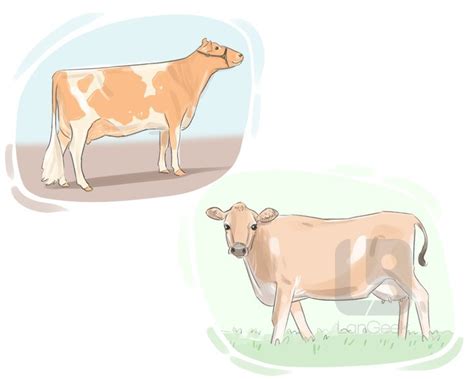 A Deeper Exploration of the Meaning of Young Bovine Symbols