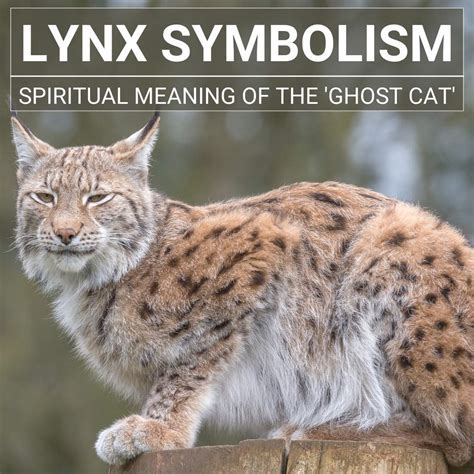 A Deeper Understanding: Exploring the Symbolic Significance of Lynx Presence in Dreamscapes