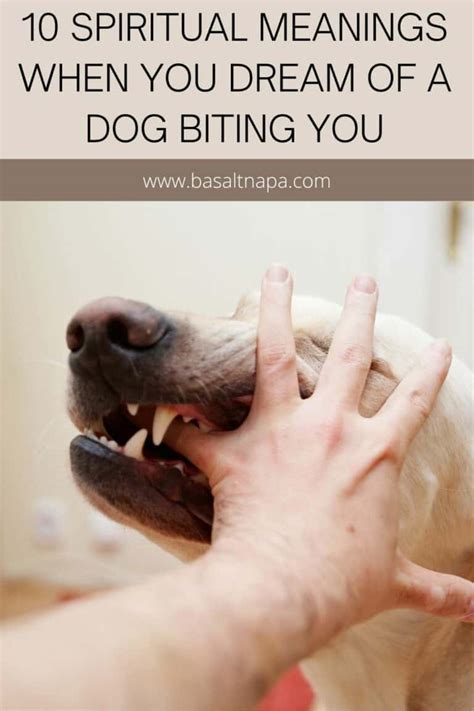 A Dog Biting Your Hand in a Dream: What It Symbolizes