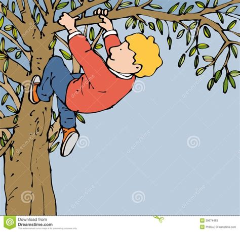 A Dream Amongst the Branches: Climbing the Tree