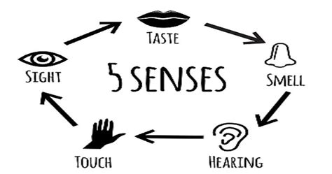 A Feast for the Senses: Engaging in a Multisensory Experience