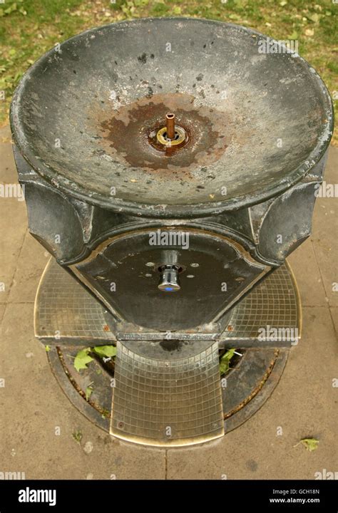 A Fountain Drying Up: The Impact on Nature