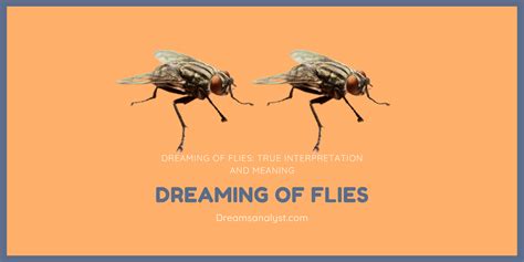 A Glimpse into Relationships: How Dreaming of Multiple Flies Can Reflect Women's Experiences with Partners and Family