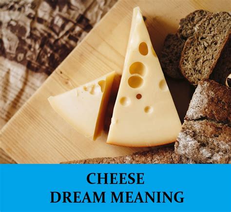 A Glimpse into the Mind: Women's Thoughts on Cheese Dreams