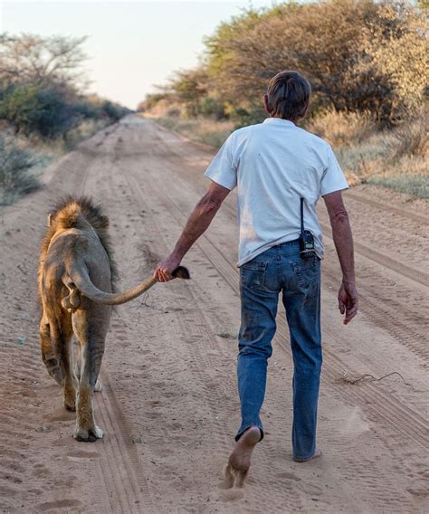 A Journey of Friendship: Exciting Adventures Shared by Human and Lion