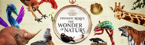 A Magical Journey into the Wonders of Nature