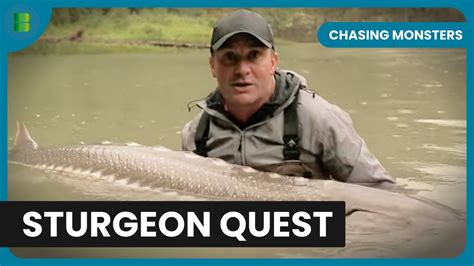 A Man's Pursuit of the Enigmatic Sturgeon: Incessantly Chasing an Evasive Aspiration