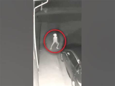 A Mysterious Visitor: An Unexpected Intruder Appears in a Woman's Vision