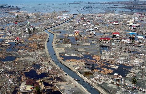 A New Perspective: Embracing Life After the Devastating Tsunami Event