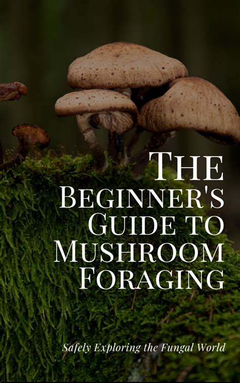 A Quest for Self-Discovery: Exploring the Enigmatic World of Mushroom Foraging