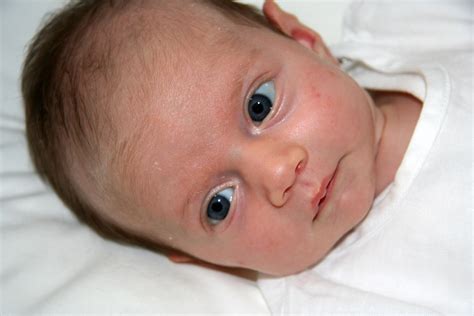 A Rare Gem: Exploring the Global Statistics of Sapphire-Eyed Infants