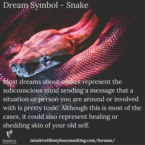 A Serpent in Dreams: Revealing the Complex Symbolism