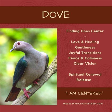 A Significance of a Dove in the Feminine Vision