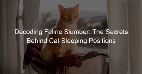 A Sleeping Red Feline: Unveiling the Secrets of Slumber?