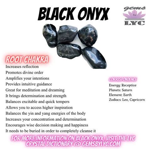 A Spiritual Encounter: Decoding the Symbolism of an Onyx Beast in My Vision