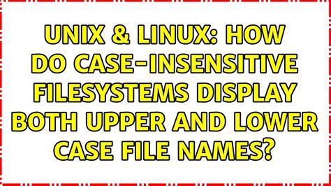 A Step-by-Step Guide: Achieving Case-Insensitivity for Linux Docker Image File Systems