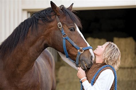 A Surprising Connection: The Equine Companion and its Owner