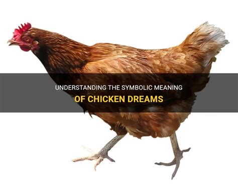 A Symbolic Interpretation of the Chicken's Presence