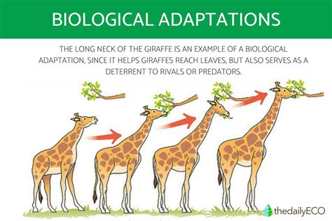 A Tale of Survival: Insights into the Adaptability of Aquatic Species