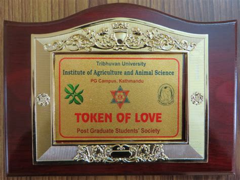 A Token of Love: An Invaluable Expression of Fondness