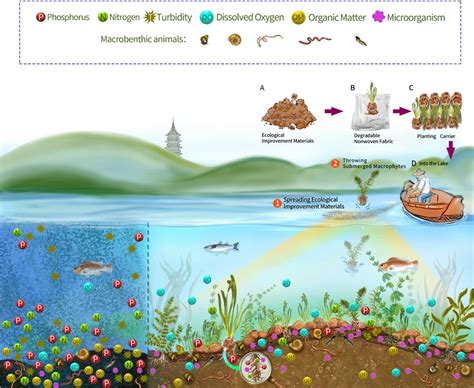 A Window to a Submerged Ecosystem