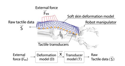 A brief overview of tactile response