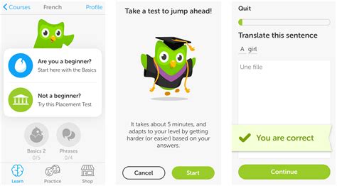 Accessing Duolingo on your iPad is just a tap away!