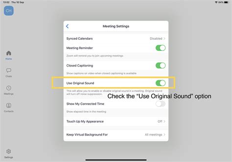 Adjusting Audio Settings in Zoom