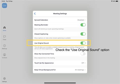 Adjusting Audio Settings on Your iPad for Enhanced Sound Output