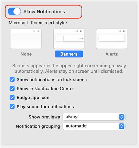 Adjusting Notification Style