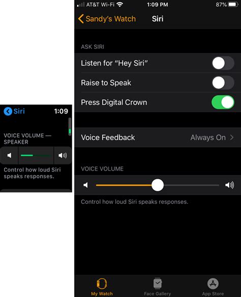 Adjusting Sound Levels with Siri's Voice Commands