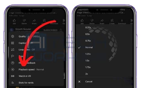 Adjusting Video Playback Settings