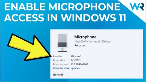 Allow Access to Microphone: Locate the Setting to Enable Microphone Access for External Devices