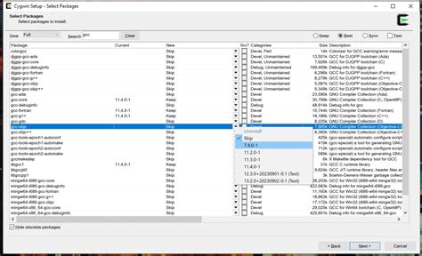 Alternative Approaches for Running Cygwin within a Microsoft Windows-based Container Environment