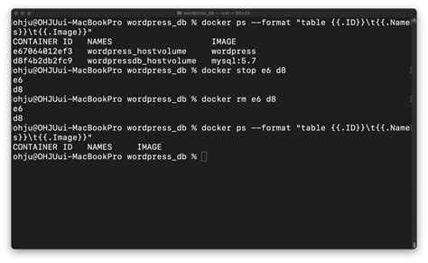 Alternative Solution: Using Host Volume instead