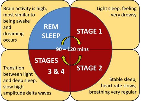 An Analysis of the Continuous Upward Movement in the Dream