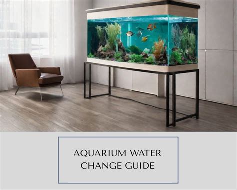 An Aquarist's Guide to Maintaining a Thriving Underwater Ecosystem