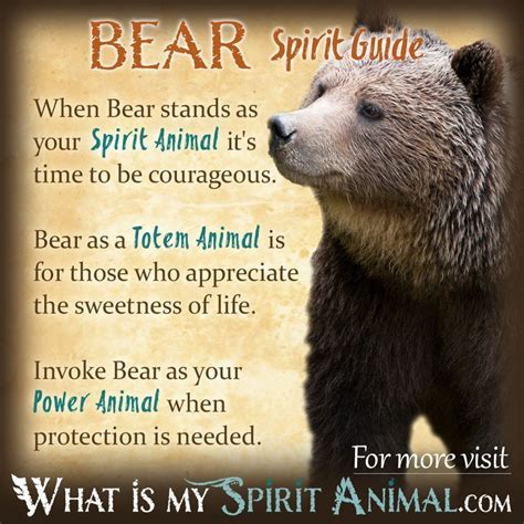 An In-Depth Analysis of the Spiritual Significance of a Young Bear's Manifestation in Dreams