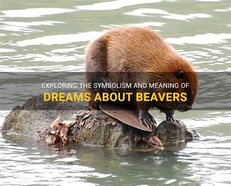 An In-Depth Exploration of Beaver Symbolism in the Realm of Dream Analysis