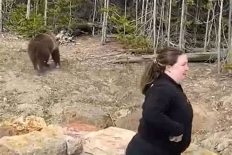 An Incredible Encounter: A Woman Shielded by a Massive Grizzly in her Fantasies