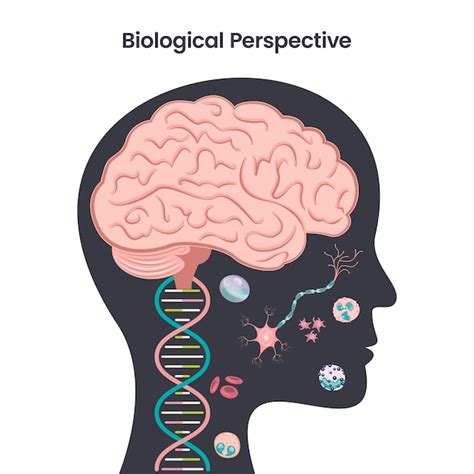 An Insight into Physical Health: Understanding the Biological Perspective