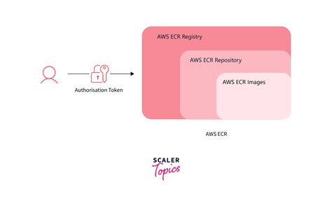 An Overview of AWS Elastic Container Registry (ECR)