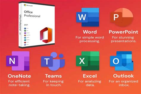 An Overview of Microsoft Office Suite