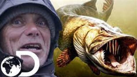 An Unbelievable Encounter: A Man's Incredible Fantasy of a Giant Pike Becomes a Reality!