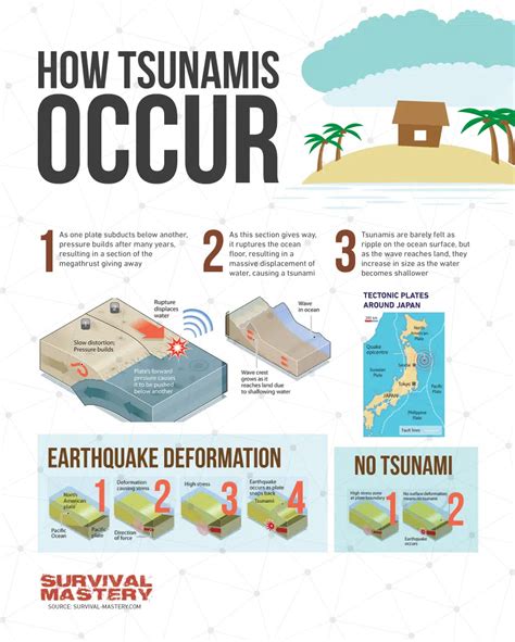 An Unforgettable Nightmare: The Tsunami's Approach