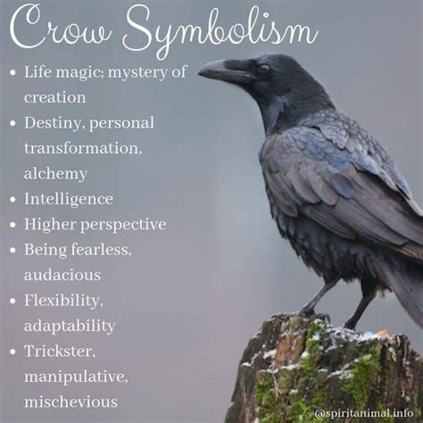 An omen of change: The crow as a symbol of transformation