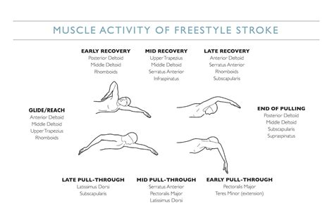 Analysing the Physical Actions and Experiences during a Swim